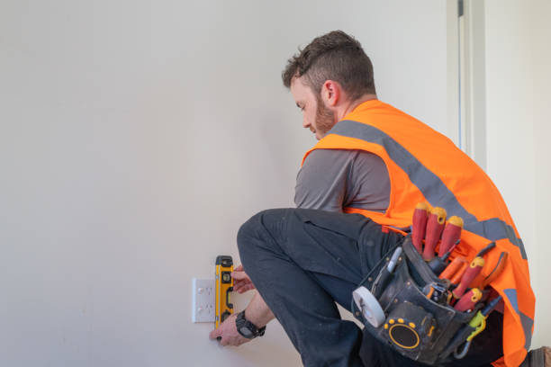 Best Licensed Electrician  in Mishicot, WI