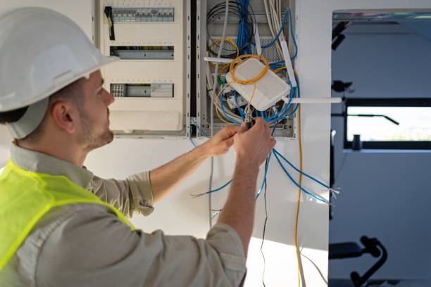 Best Electric Panel Repair  in Mishicot, WI